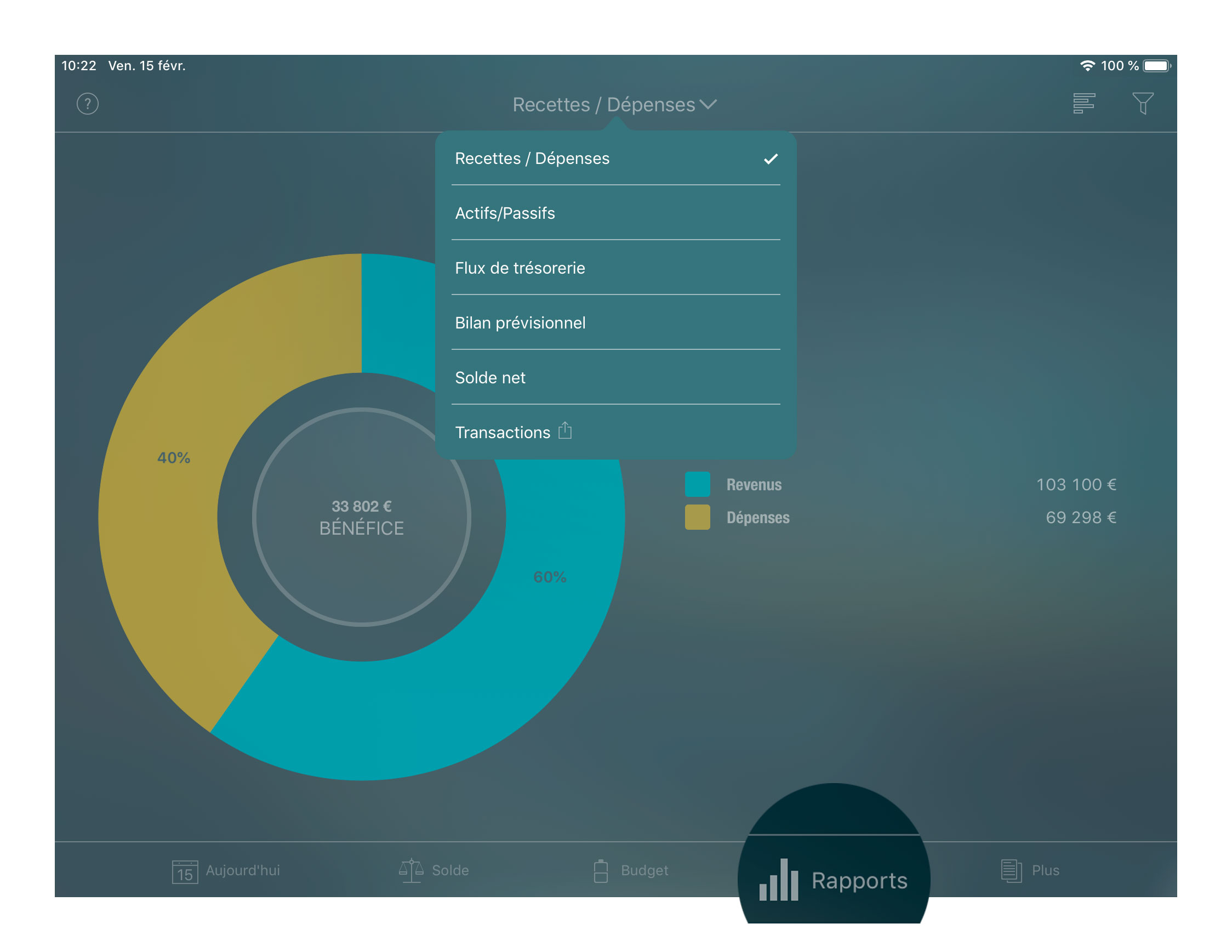 Money Tracker - Rapports - iPad