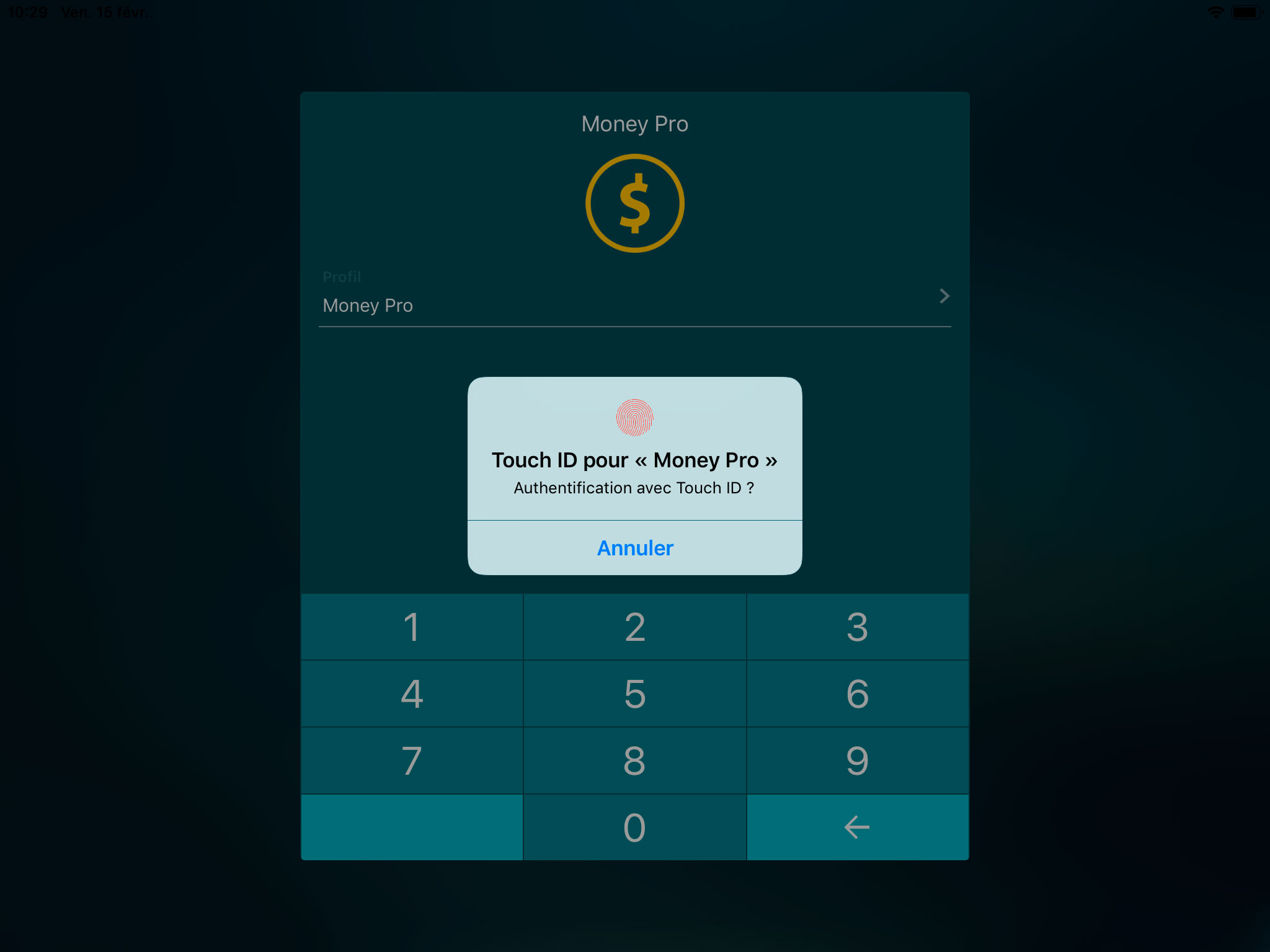 Money Tracker - Touch ID (Face ID) - iPad